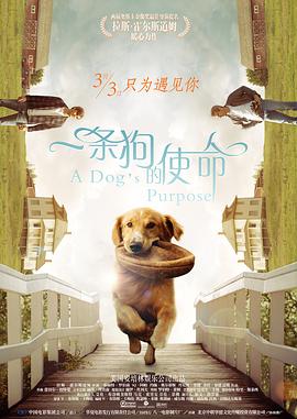 福利啪啪吧