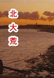 久久www免费人成精品香蕉