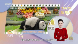 国产精品第六页